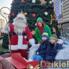 zdjęcie nr 13