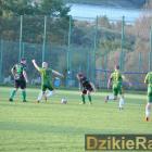 zdjęcie nr 13