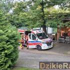 zdjęcie nr 59