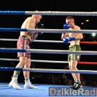 zdjęcie nr 189
