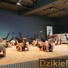 zdjęcie nr 239