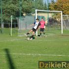 zdjęcie nr 45