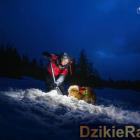 zdjęcie nr 9