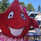 Fotka nr 1 z 18