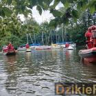 zdjęcie nr 243