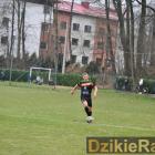 zdjęcie nr 141