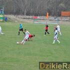 zdjęcie nr 42