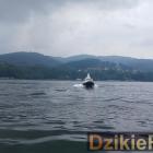 zdjęcie nr 242