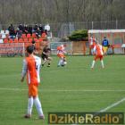 zdjęcie nr 195