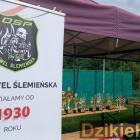 zdjęcie nr 408