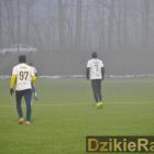 zdjęcie nr 14