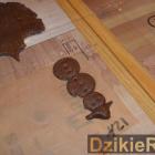 zdjęcie nr 61