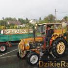 zdjęcie nr 220