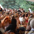 zdjęcie nr 13