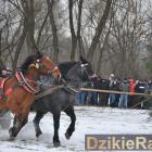 zdjęcie nr 114