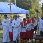 zdjęcie nr 15
