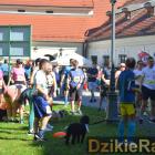 zdjęcie nr 84