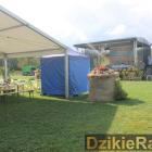 zdjęcie nr 190