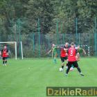 zdjęcie nr 110