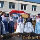 zdjęcie nr 190
