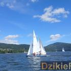 zdjęcie nr 184