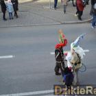 zdjęcie nr 80