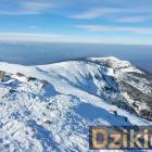 Fot. Grzegorz Fryc