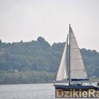 zdjęcie nr 116