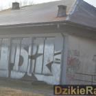 Fotka nr 4 z 7