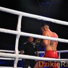 zdjęcie nr 229
