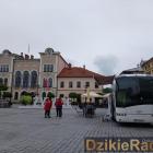 zdjęcie nr 19