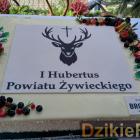 zdjęcie nr 30