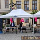 zdjęcie nr 18