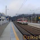 zdjęcie nr 11
