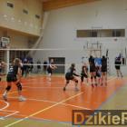 zdjęcie nr 53