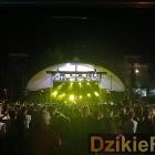 zdjęcie nr 40