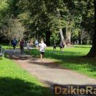 zdjęcie nr 35