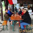 zdjęcie nr 53