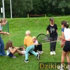 zdjęcie nr 33