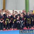 zdjęcie nr 105