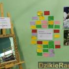 zdjęcie nr 182