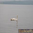 zdjęcie nr 124