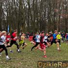 zdjęcie nr 18