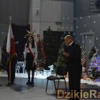 zdjęcie nr 241