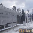 Fotka nr 1 z 4