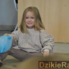 zdjęcie nr 17