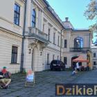 zdjęcie nr 43