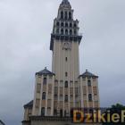 zdjęcie nr 245