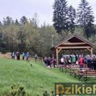 zdjęcie nr 165