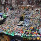 zdjęcie nr 35